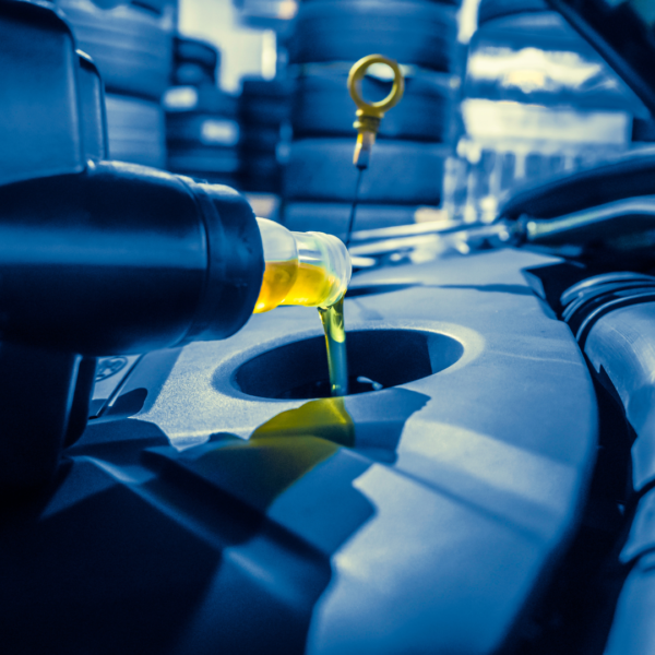 Diseño sin título (55)